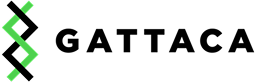 Director of Technology & Transformation